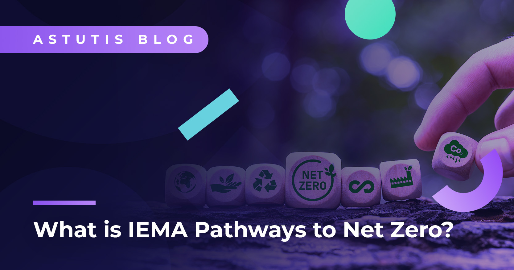 What is IEMA Pathways to Net Zero Image